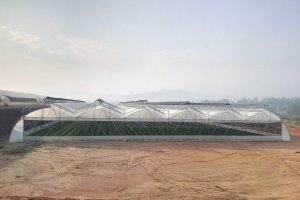 Copy of Overhead-Screens- (1)