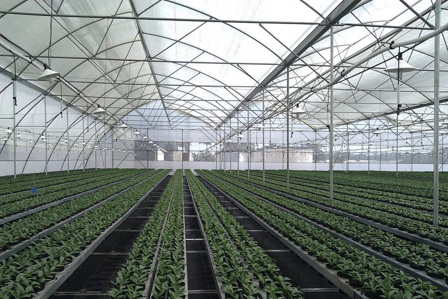 Propagation tables – Greenspan Agritech